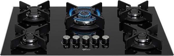 Cooktop a Gás TC Infinity Fischer